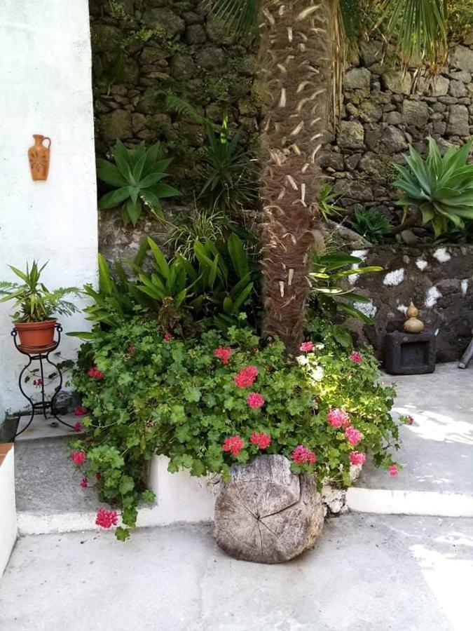 Ribeira Da Praia House Vila Franca do Campo Exterior photo